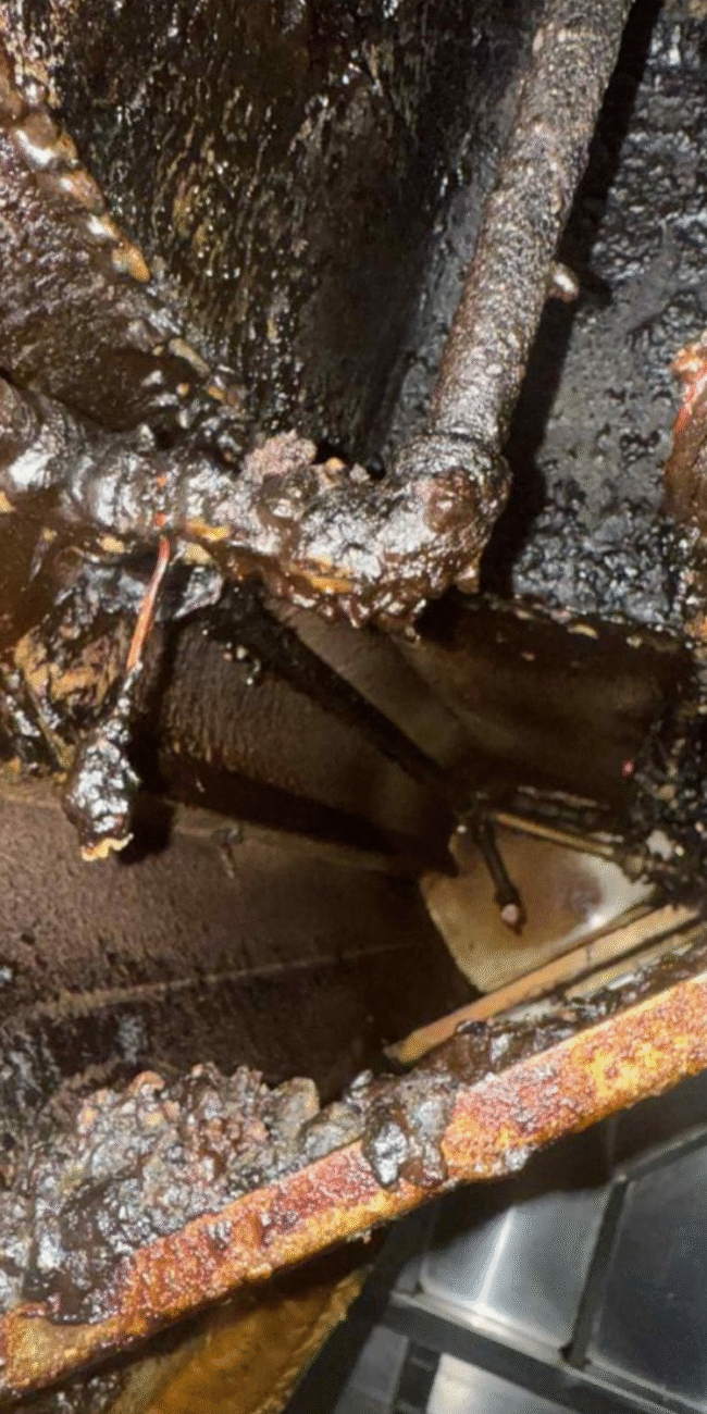 Before Deep Cleaning